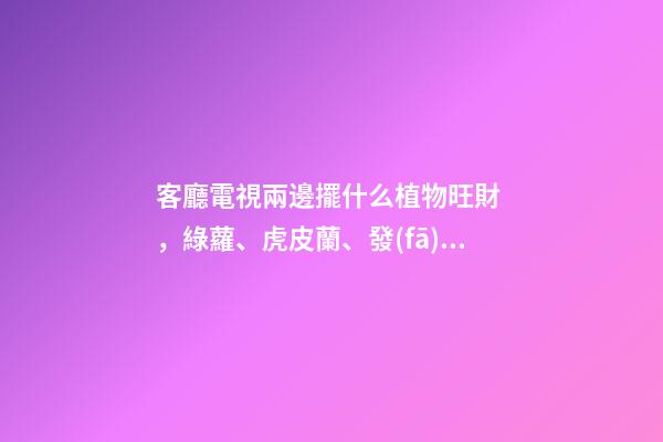 客廳電視兩邊擺什么植物旺財，綠蘿、虎皮蘭、發(fā)財樹